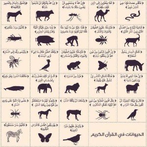 الحيوانات التي ذكرت في القرآن - اكتب صح